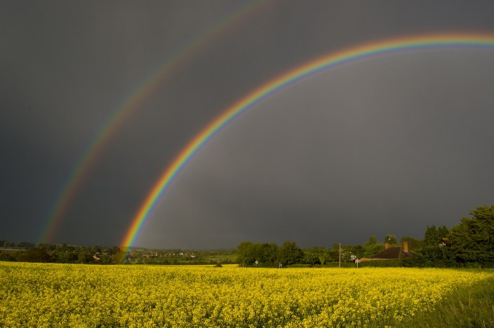 Rainbow field