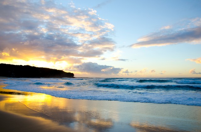 Gavin Terpisra, Sydney!