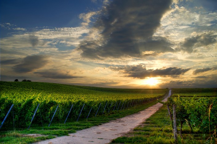 9515664367_1b8f6d98ba_o wow!