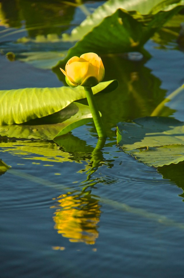 1427866_95702480 and jtkunley