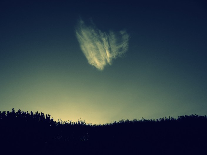 10024005344_d9a3e2b238_o