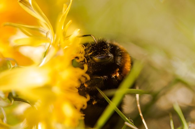 8688494280_080e1c9f79_o