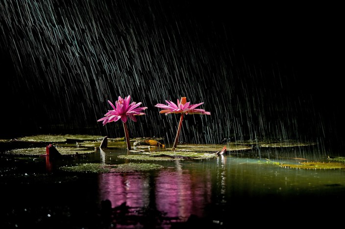 9517190504_db664b961d_o