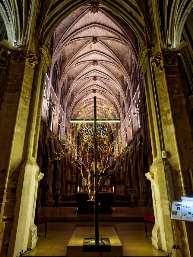 13293650485_126c57d0e3_k