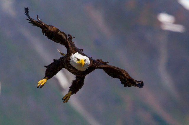 You Can Soar Above Your Haters!