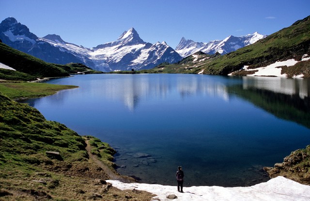 2720533378_c29cd3b87e_o (3)