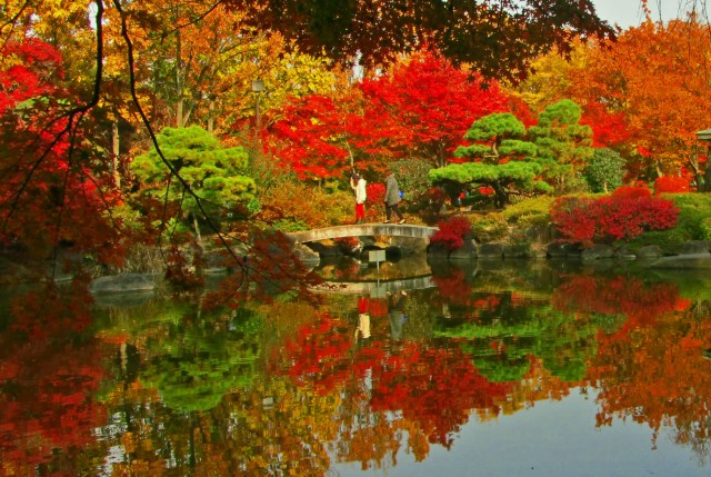 15866612782_2f4322afa2_o (2)