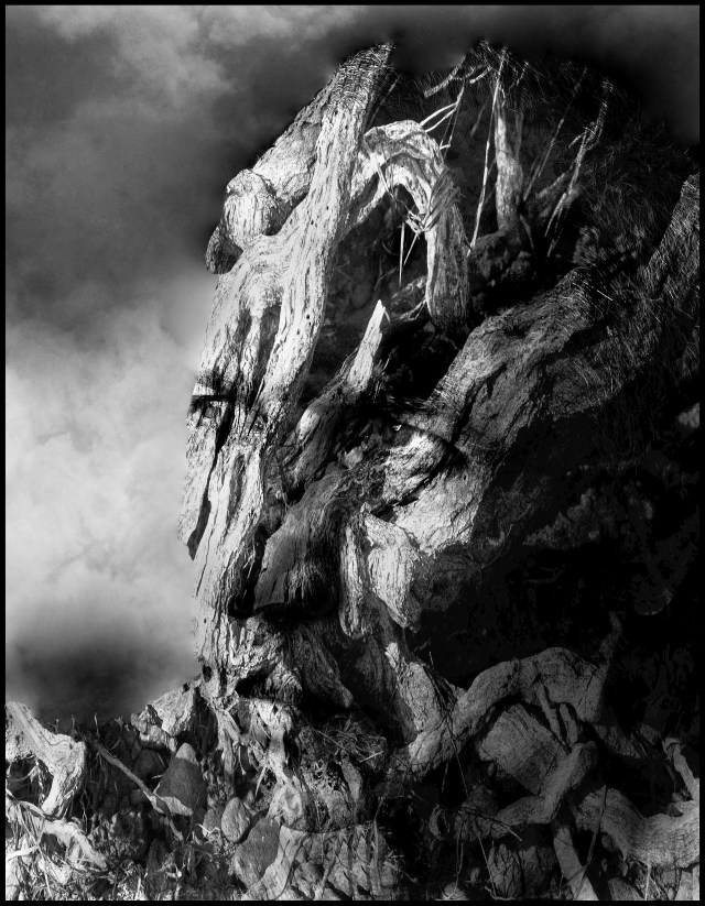 15905066159_f8e7941d66_o-2